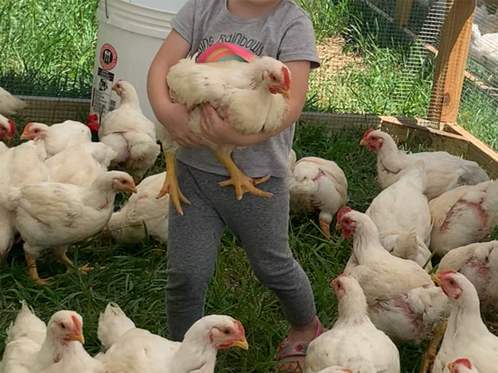 child holding happy chickens